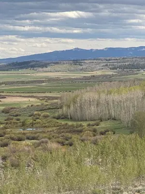 a view of a field with mountains in the background at Red-tail Roundhouse at 22 West Cabins and Recreation in Hebron