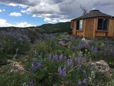 a field of purple flowers in front of a cabin at Red-tail Roundhouse at 22 West Cabins and Recreation in Hebron