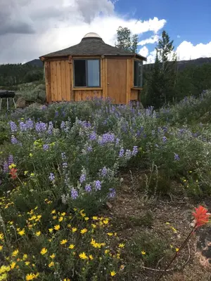 a cabin in the middle of a field of flowers at Red-tail Roundhouse at 22 West Cabins and Recreation in Hebron
