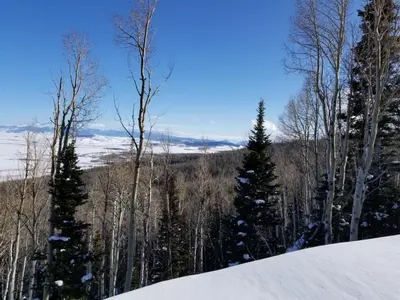 a group of trees and snow on a mountain at Whistle Pig Retreat at 22 West Cabins and Recreation in Hebron
