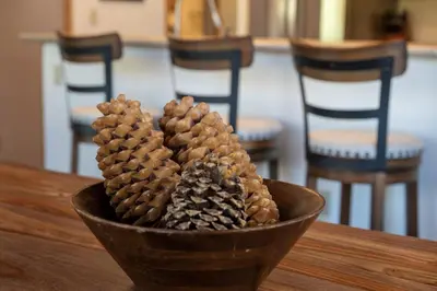 a bowl filled with pine cones on a table at Snowblaze A24 condo in Winter Park