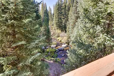 an aerial view of a river in a forest at Winter Park Condo with Sleeping Loft - Near Main St in Winter Park