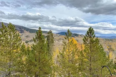 a group of trees in the middle of a mountain at CoCo Chalet in Silverthorne
