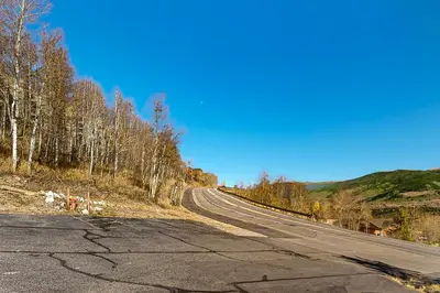 an empty road with trees on the side of the road at Salt Lick Sanctuary in Silverthorne