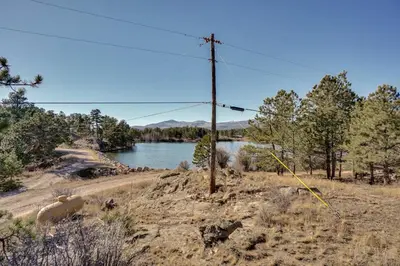 a cow standing on a hill next to a body of water at Red Feather Lakes Cabin with Deck and Views! in Red Feather Lakes