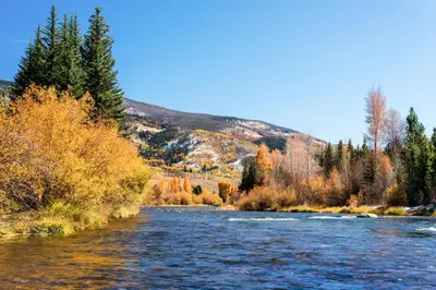 a view of a river with trees in the background at La Rive Del Lago 302 in Dillon