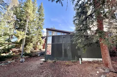 a house in the woods with a tree at Davis Cabin, Historic Charmer in Grand Lake
