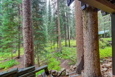 a wooden bench in a forest with trees at Mid-Century Cabin Creekside, Easy Access to i-70 in Dumont