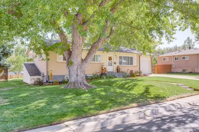 a house with a tree in the yard at 4 Mi to Hwy Access for Mtn Fun Family Getaway! in Lakewood