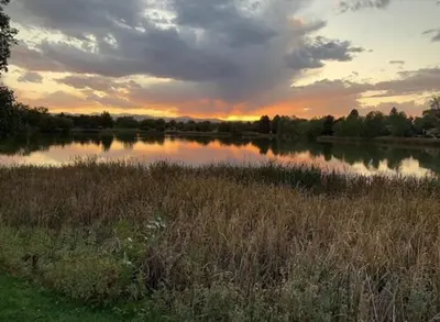 a field with a lake with the sunset in the background at Beautiful Denver Carriage House in Denver
