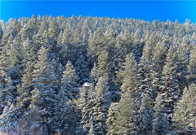 an aerial view of a snow covered pine forest at Morrison Colorado Mountain Getaway - Red Rocks in Morrison