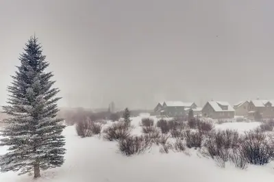 a snow covered yard with a christmas tree and houses at Mountainside #272H in Frisco