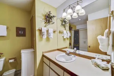 a bathroom with a sink and a toilet and a mirror at Cedar Lodge 309 in Frisco