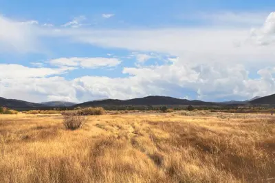 a field of dry grass with mountains in the background at Tarn Landing C-4 in Frisco