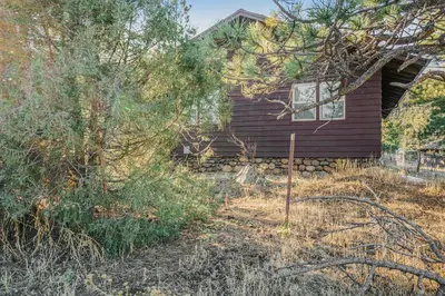 a brown house with a tree in front of it at O'Deer Cabin - Pet Friendly - Estes Park -- EV#3241 cabin in Estes Park