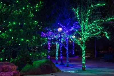 a group of trees decorated with christmas lights at O'Deer Cabin - Pet Friendly - Estes Park -- EV#3241 cabin in Estes Park