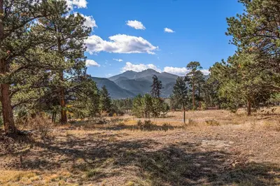 a field with trees and mountains in the background at Chasm Cabin -- 20-NCD0048 cabin in Estes Park