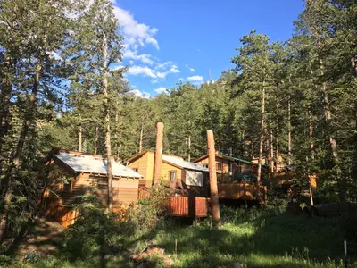 a cabin in the middle of a forest at Pine Haven Resort in Estes Park