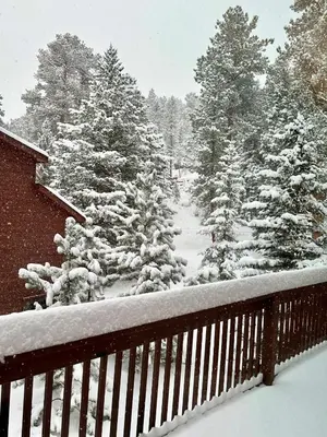 a group of snow covered trees on a balcony at Bugle Pointe B23 by Estes Park Condos in Estes Park