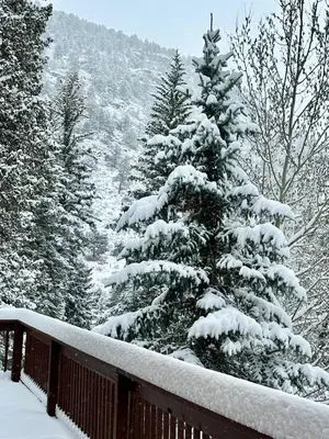 a snow covered christmas tree on a deck at Bugle Pointe B23 by Estes Park Condos in Estes Park