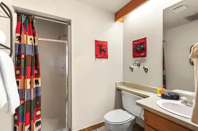 a bathroom with a shower and a toilet and a sink at Marina Place 115 by Great Western Lodging in Dillon