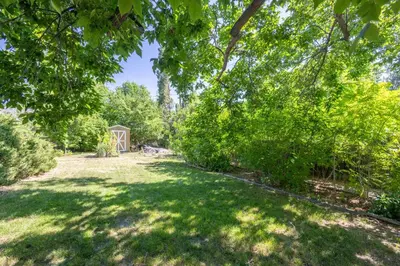 a yard with trees and a shed in the background at Modern home w hot tub & game room in Centennial