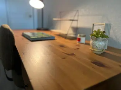 a wooden desk with a potted plant on top of it at Spacious Westminster 2bd/1ba in Westminster