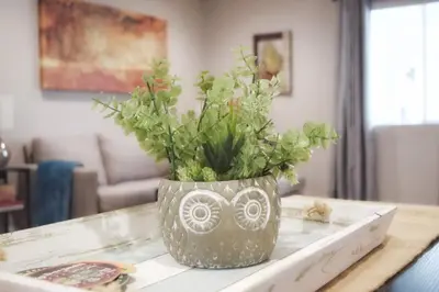 a vase with flowers on a table in a living room at Cozy 3 bedroom in Westminster in Westminster