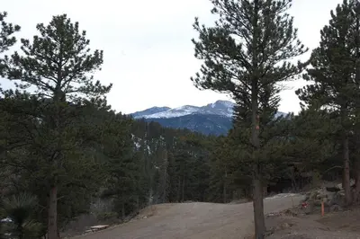 a group of trees on top of a mountain at Bears Den 1 - Hot Tub and Views! in Estes Park