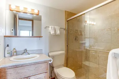 a bathroom with a shower and a toilet and a sink at Fraser Mountain Retreat with Resort Amenities! in Fraser