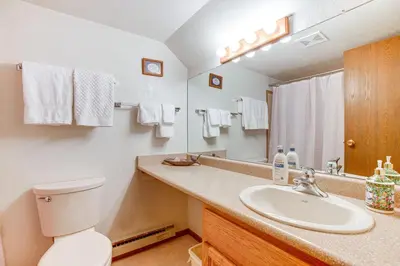 a bathroom with a sink and a toilet and a mirror at Fraser Mountain Retreat with Resort Amenities! in Fraser