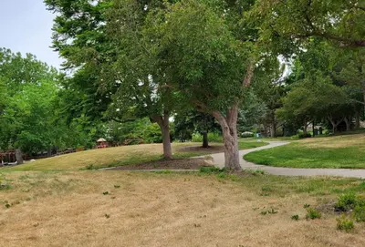 a park with two trees and a sidewalk at Close to Downtown Sleeps 8 Private Backyard in Arvada