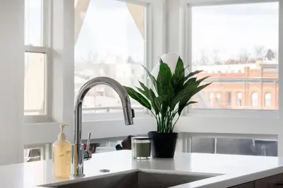 a kitchen sink with a potted plant and a window at Serenity in Style | Espadin LoHi in Denver