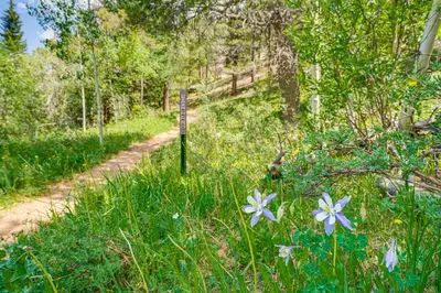 a sign in the grass with blue flowers on a trail at Patio and Hot Tub Cozy Cabin Retreat in Bailey! in Bailey