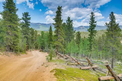 a dirt road in the middle of a forest at Patio and Hot Tub Cozy Cabin Retreat in Bailey! in Bailey