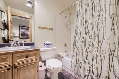 a bathroom with a toilet and a shower curtain at 2652 Tenderfoot Lodge condo in Keystone