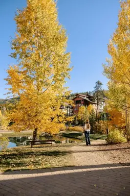 a person walking down a path next to a tree at Cloud N9NE Chalet in Fraser