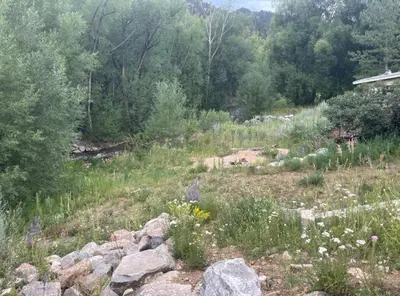 a field with rocks and flowers and trees at River Mountain Getaway-private, large, in- law apt in Jamestown