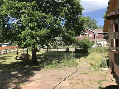 a yard with a tree and a swing at Energy-Efficient Oasis Cozy Near DT Boulder and trails in Boulder