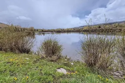 a body of water with some grass and a field at 152 Ponds on the Blue River home in Silverthorne