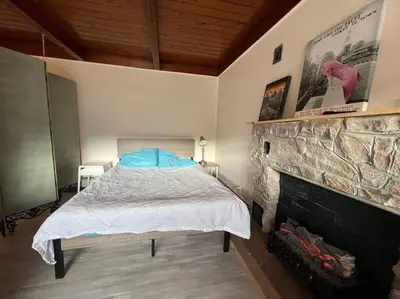 a bedroom with a bed and a fireplace at Large Studio LIGHT & VIEWS - Beautiful with Deck - Message Direct in Idaho Springs