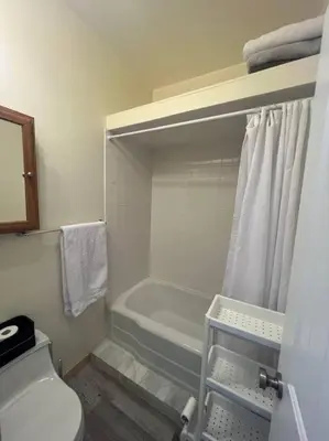 a bathroom with a bath tub and a toilet at Large Studio LIGHT & VIEWS - Beautiful with Deck - Message Direct in Idaho Springs