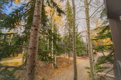 a path through a forest of trees in the fall at Slopeside 2730A by SummitCove Lodging in Keystone