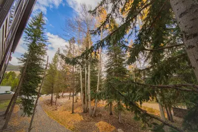 a path through a forest with trees at Slopeside 2730A by SummitCove Lodging in Keystone