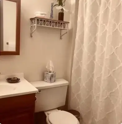a bathroom with a toilet and a shower curtain at Cozy Garden Level Apartment Studio by Lake Loveland in Loveland