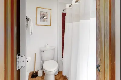 a bathroom with a toilet and a white shower curtain at 1765 Montezuma condo in Keystone