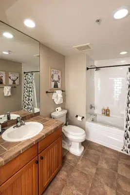 a bathroom with a sink and a toilet and a tub at Base Camp Ski Slope Views Granby Ranch in Granby