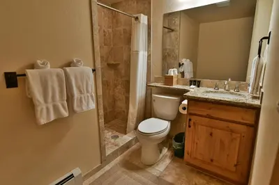 a bathroom with a toilet and a shower and a sink at Prospect Point Retreat: Lakeside Townhome, Mountain Views in Frisco