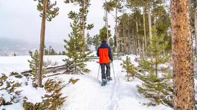 a person on skis in the snow near trees at Luxury Home - Sleeps 10 - Fireplace & Mountain View condo in Keystone