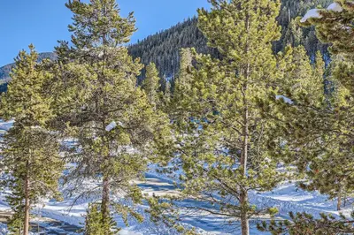 a group of trees in the snow on a mountain at 1890 The Seasons townhouse in Dillon